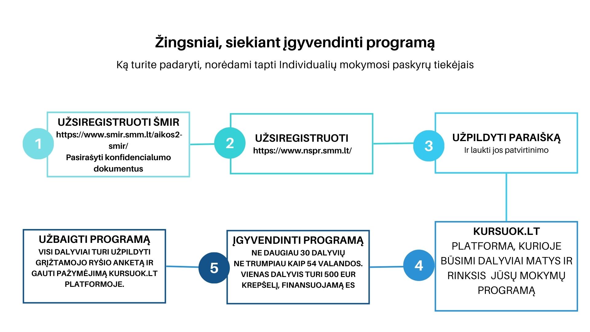 Programos pateikimo ir įgyvendinimo etapai